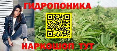 молекула духа Можайск