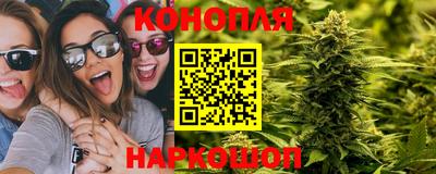 молекула духа Можайск
