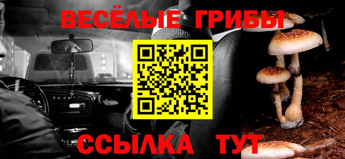 сколько стоит  Псилоцибиновые грибы Psilocybe  Вход с VPN  Псилоцибиновые грибы мицелий  Шарыпово 
